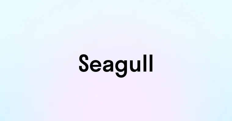 Seagull