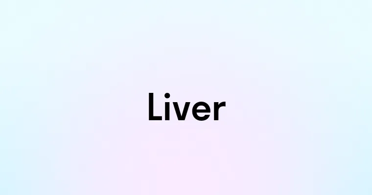 Liver