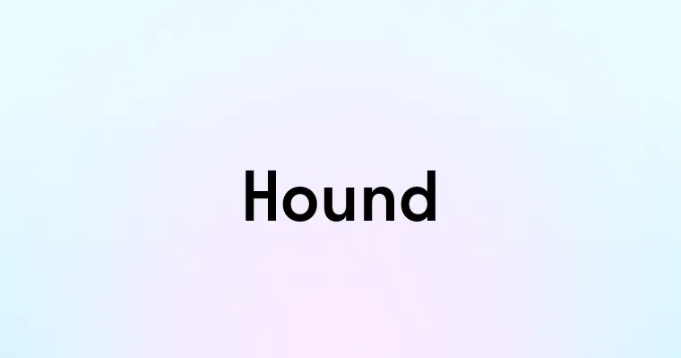 Hound