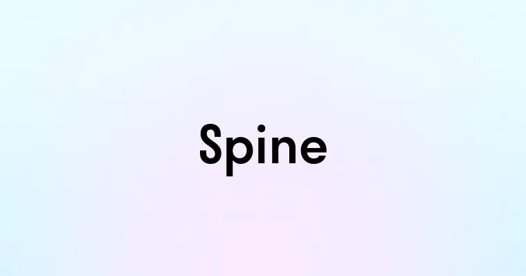 Spine