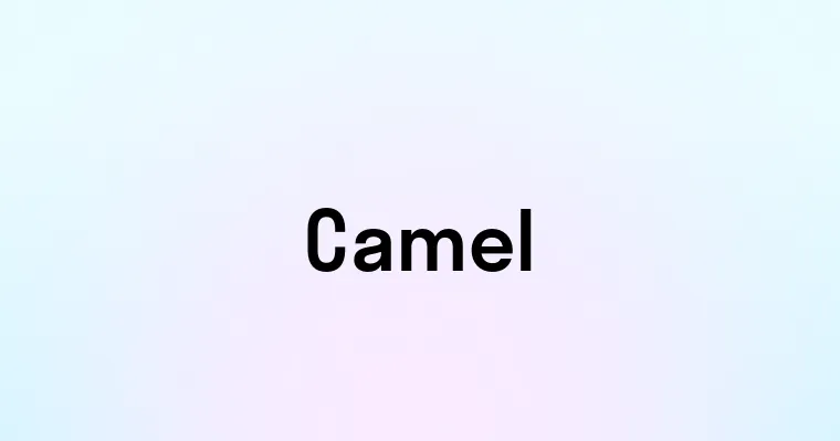 Camel