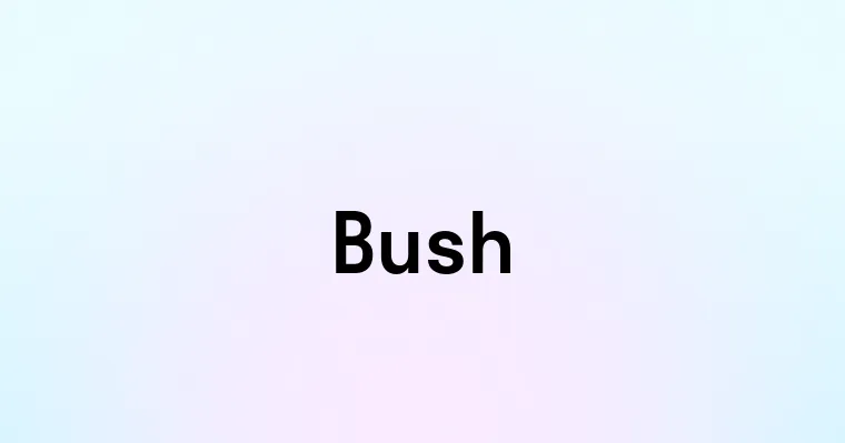 Bush — перевод, транскрипция, произношение и примеры