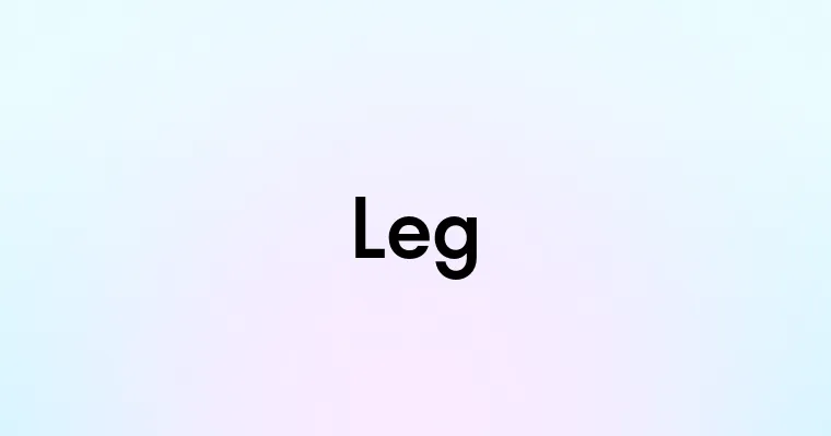 Leg