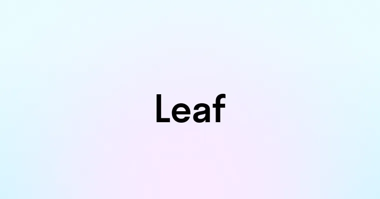 Leaf