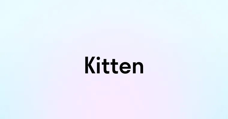 Kitten