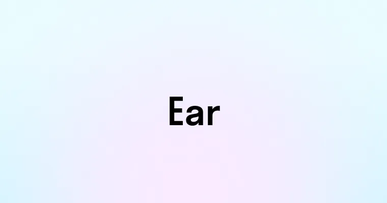 Ear