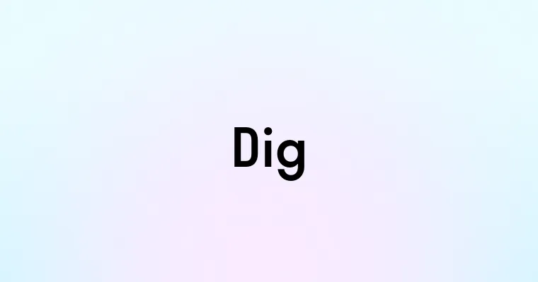 Dig