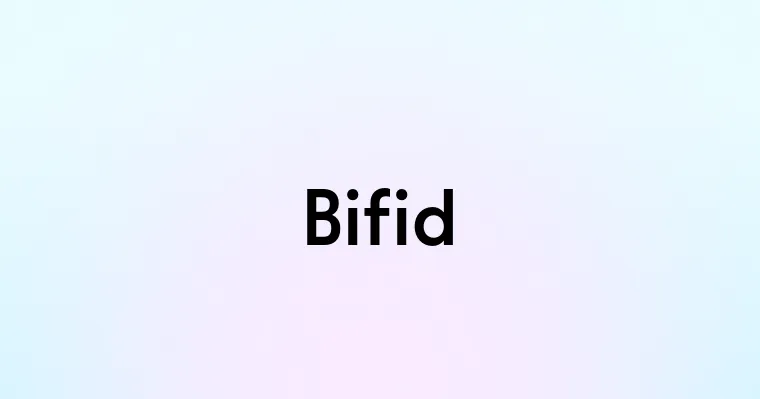 Bifid