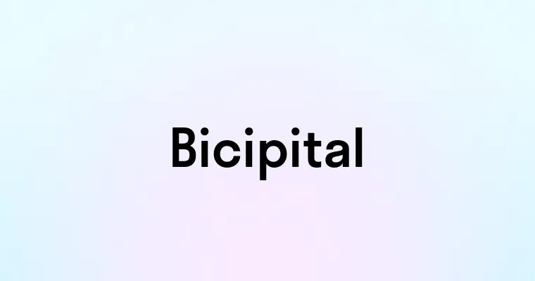 Bicipital