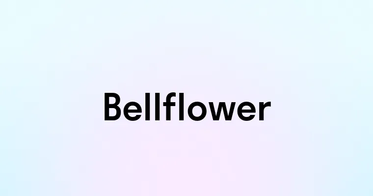 Bellflower