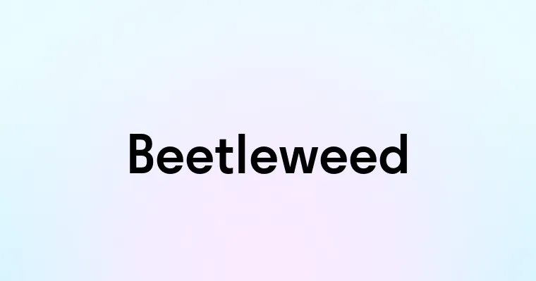 Beetleweed