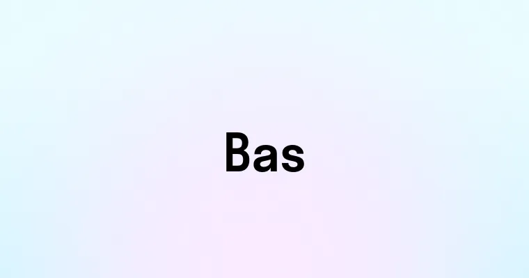 Bas — перевод, транскрипция, произношение и примеры