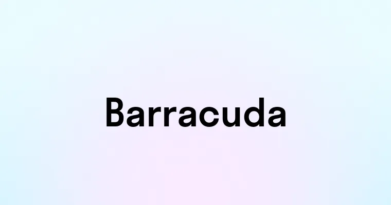 Barracuda