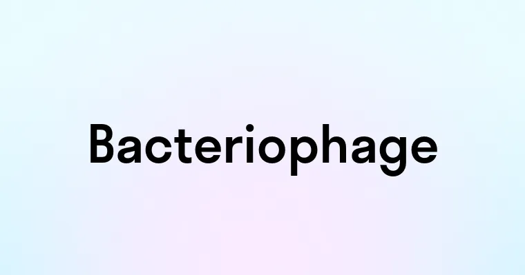 Bacteriophage