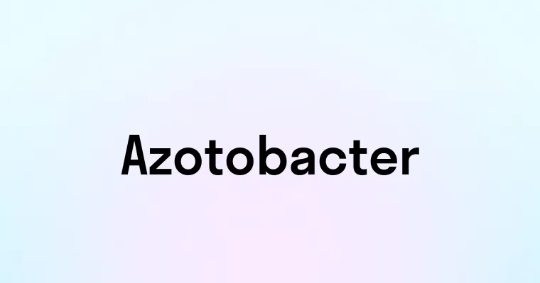 Azotobacter