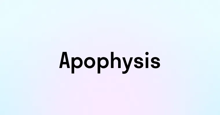 Apophysis — перевод, транскрипция, произношение и примеры