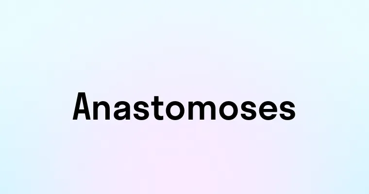 Anastomoses