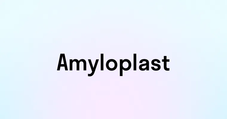 Amyloplast