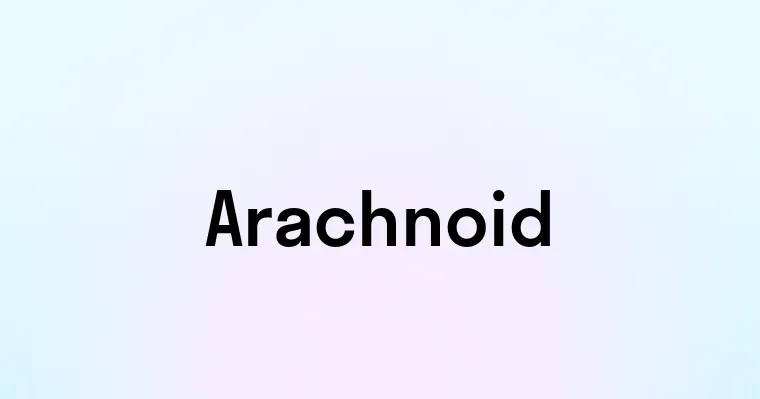 Arachnoid