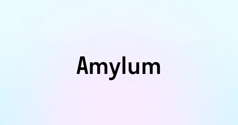 Amylum