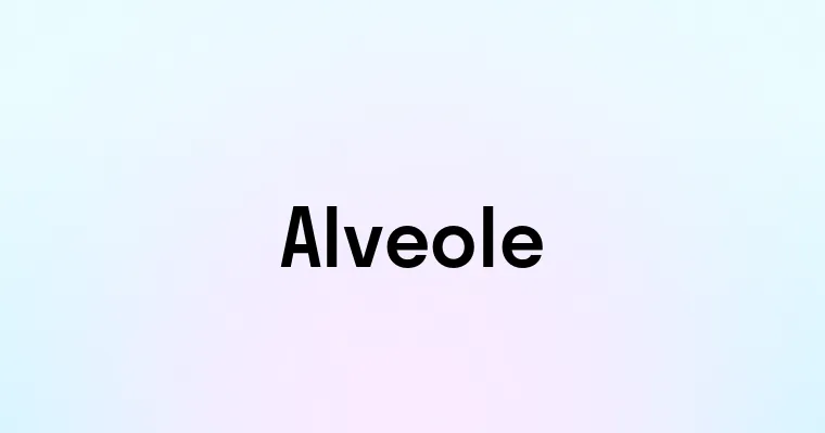 Alveole