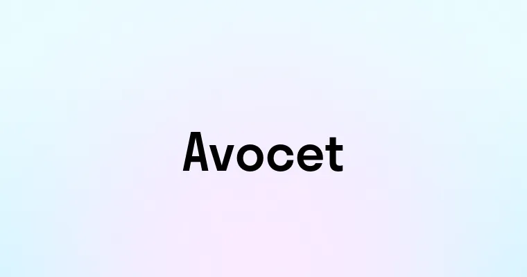 Avocet