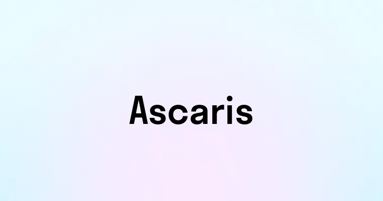 Ascaris