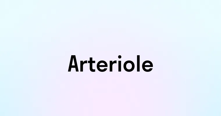 Arteriole