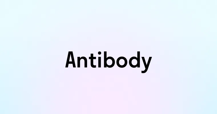 Antibody