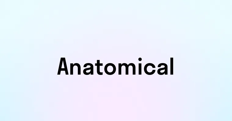 Anatomical