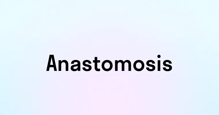 Anastomosis