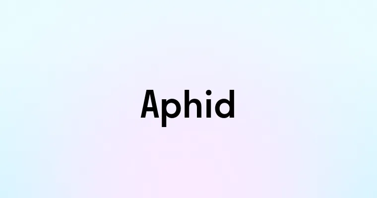 Aphid