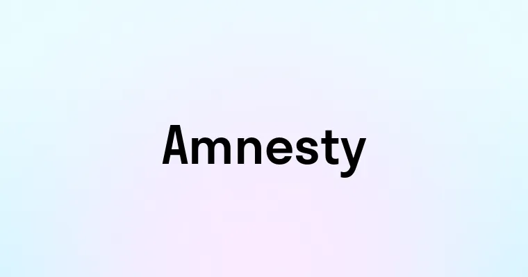 Amnesty