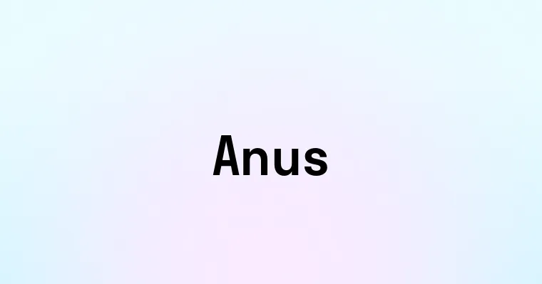 Anus