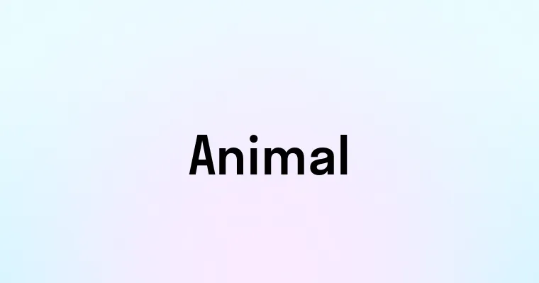 Animal