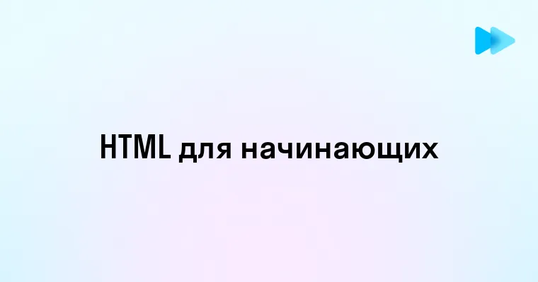 Основы и применение языка HTML