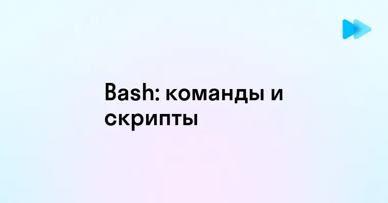 Основы и возможности языка программирования Bash