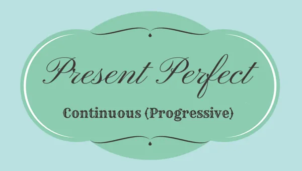 Present Perfect Continuous (Progressive)