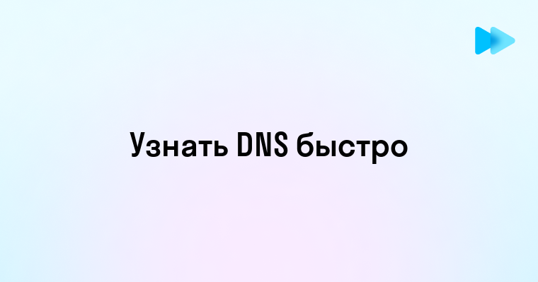 Способы определить DNS вашего домена