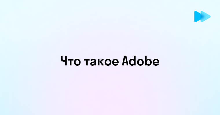 Adobe это что за программа