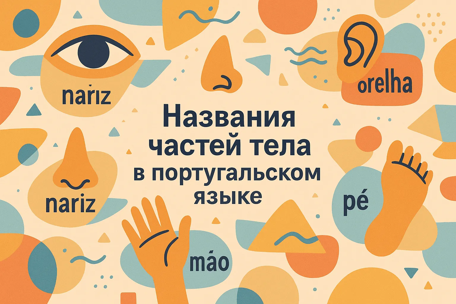Названия частей тела в португальском языке