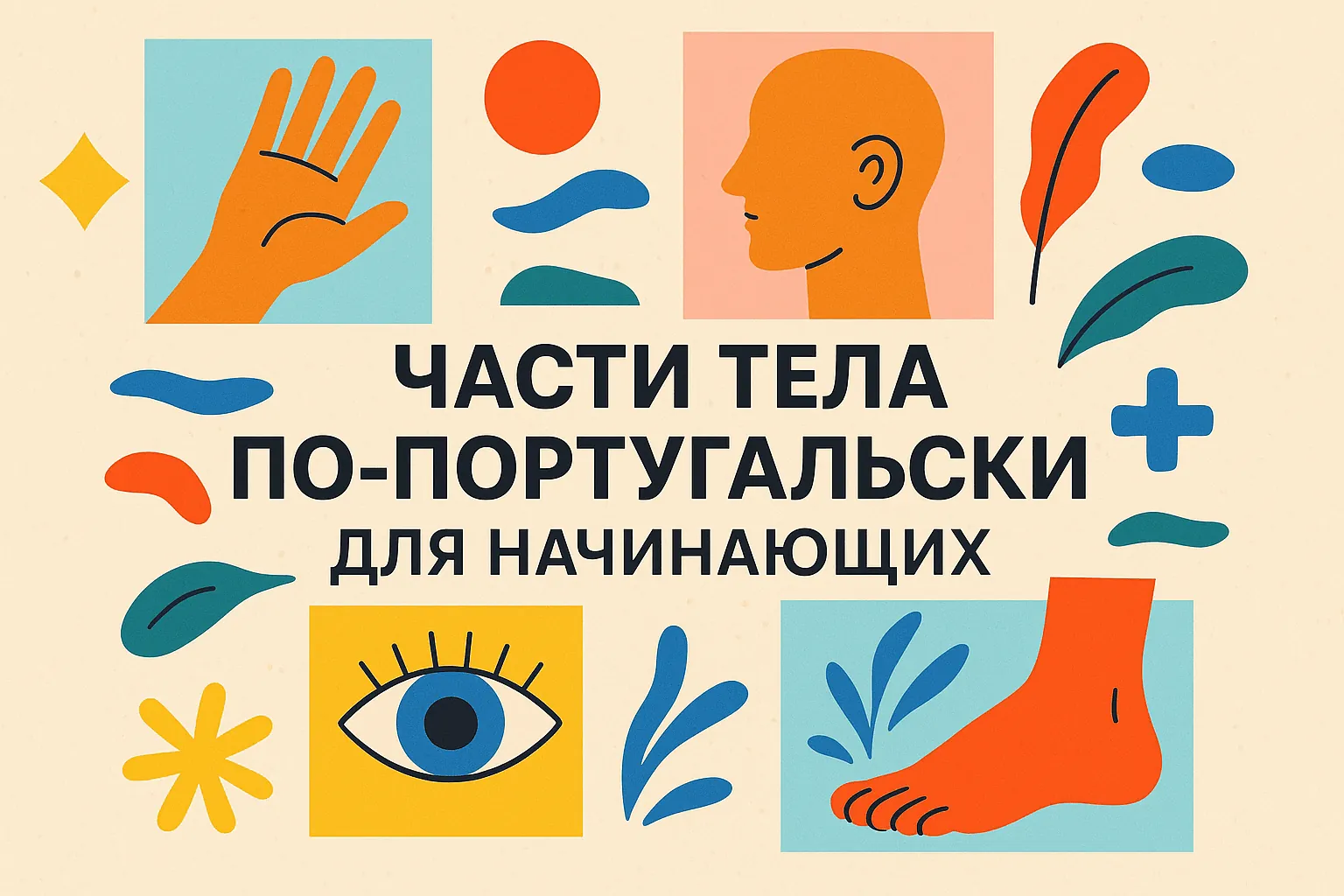 Части тела по-португальски для начинающих