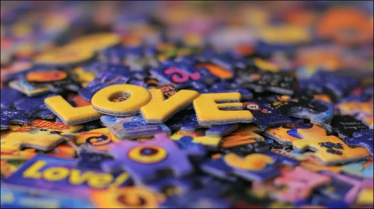 Согласование прилагательных во французском: правила и исключения