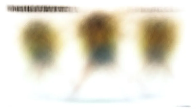 Испанские возвратные глаголы: секреты употребления caerse, perderse, romperse