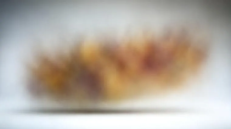 Испанская лексика красоты: термины для общения о внешности