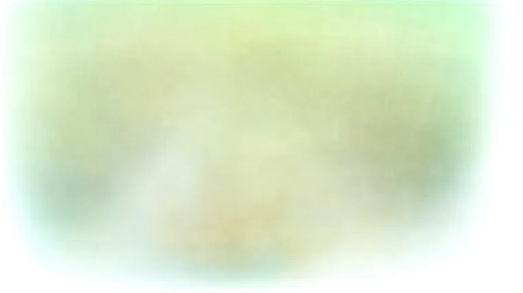 Лексика испанской журналистики: термины, фразы, интервью