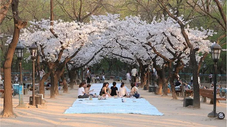 Как говорить о времени года, отпуске и планах по-корейски: гид