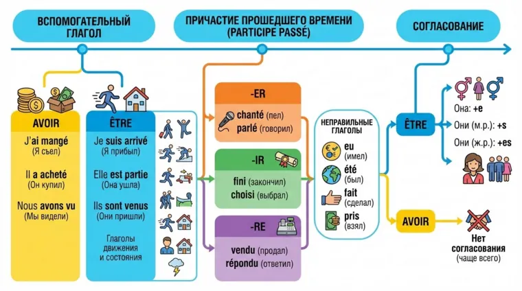 Прошедшее время Passé Composé: правила и структура