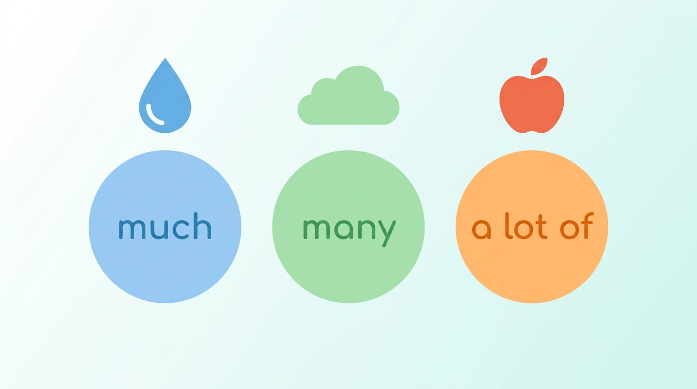 Правила употребления much, many и a lot of в английском языке