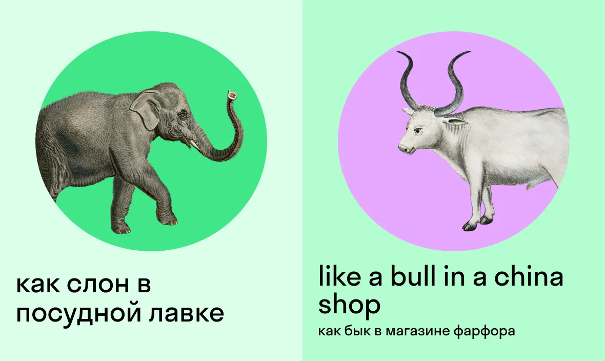 как слон в посудной лавке по-английски — like a bull in a china shop — как бык в магазине фарфора